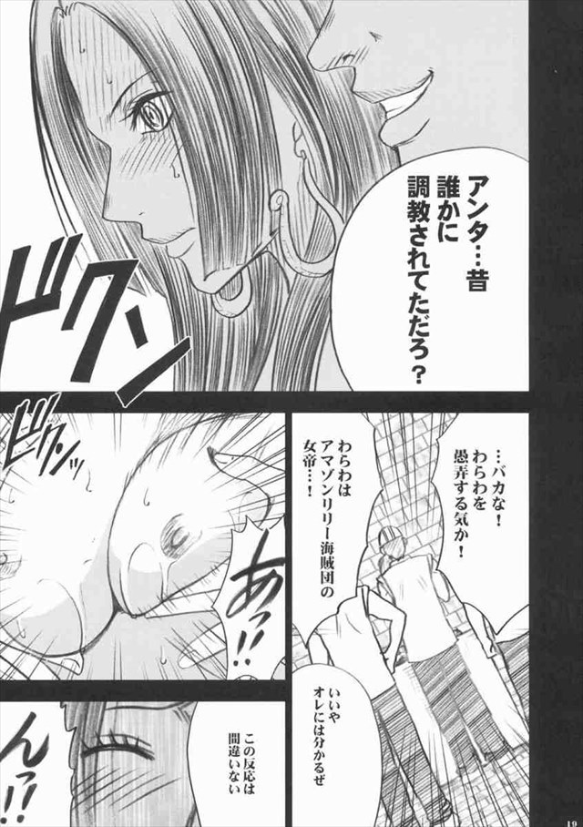 ワンピース エロマンガ・同人誌17020