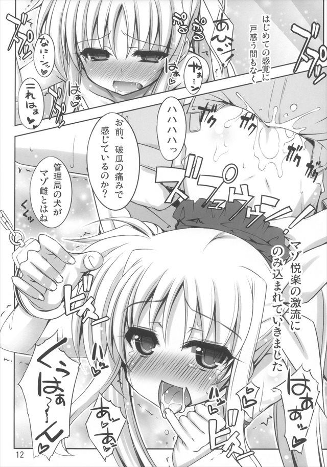 リリカルなのは エロマンガ・同人誌21012